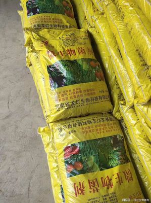 為何國家鼓勵農民使用生物有機肥并給予補貼？答案在這！生物有機肥料研發