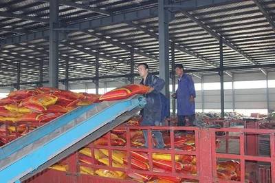 成長(zhǎng)之星 | 源科生物 治理農(nóng)業(yè)面源污染，從土壤修復(fù)開始——生物有機(jī)肥料研發(fā)之路