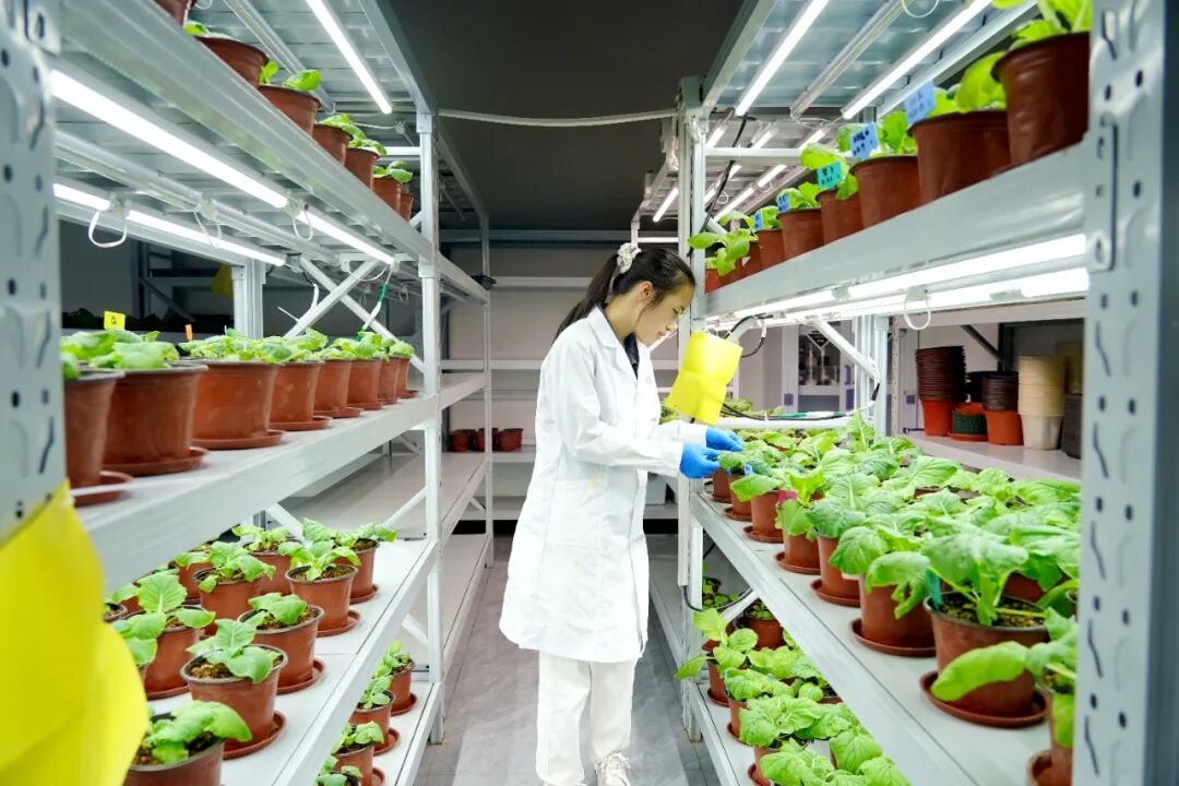 港北區(qū) 循環(huán)產(chǎn)業(yè)鏈賦能，打造有機(jī)無機(jī)‘糖蜜肥’生物有機(jī)肥新篇章